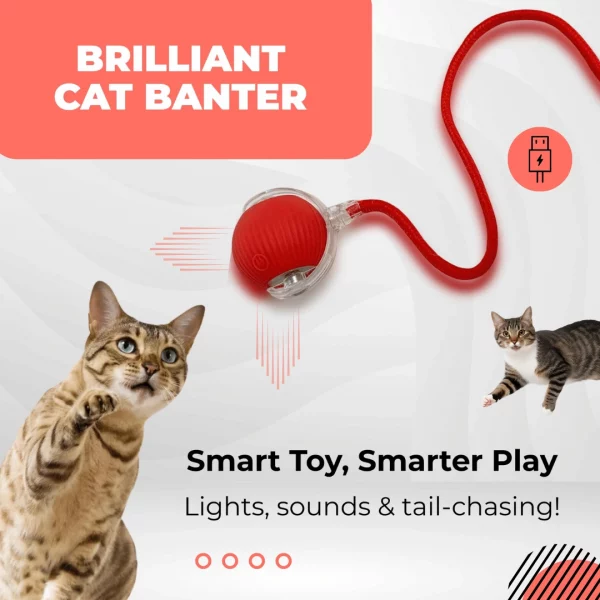 🐱⚡  Smart Cat Toy Ball – Endless Fun for Your Furry Friend