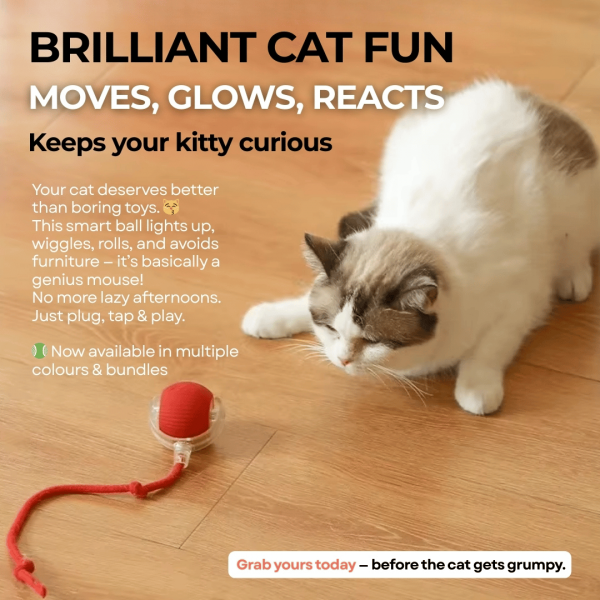 🐱⚡  Smart Cat Toy Ball – Endless Fun for Your Furry Friend - Image 3