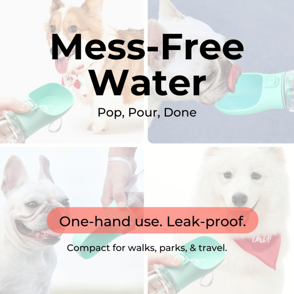 🐾💦  Portable Pet Water Bottle – Leakproof & Travel-Friendly - Image 6