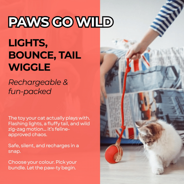 🐱⚡  Smart Cat Toy Ball – Endless Fun for Your Furry Friend - Image 4