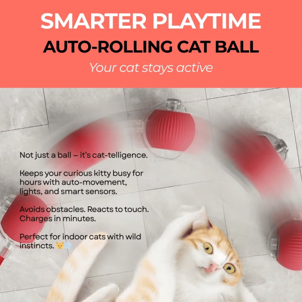 🐱⚡  Smart Cat Toy Ball – Endless Fun for Your Furry Friend - Image 5