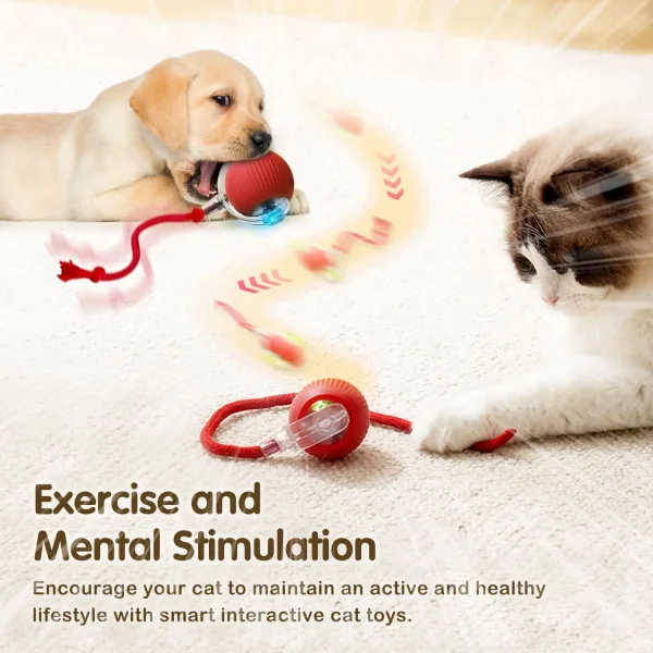 🐱⚡  Smart Cat Toy Ball – Endless Fun for Your Furry Friend - Image 8