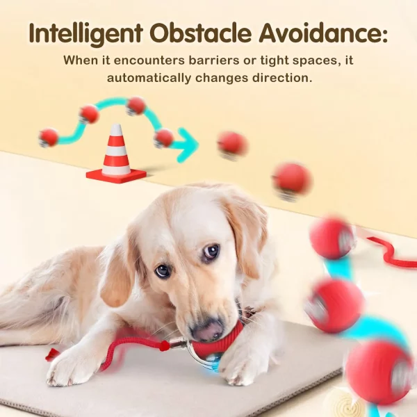 🐱⚡  Smart Cat Toy Ball – Endless Fun for Your Furry Friend - Image 9