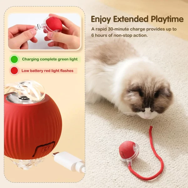 🐱⚡  Smart Cat Toy Ball – Endless Fun for Your Furry Friend - Image 10